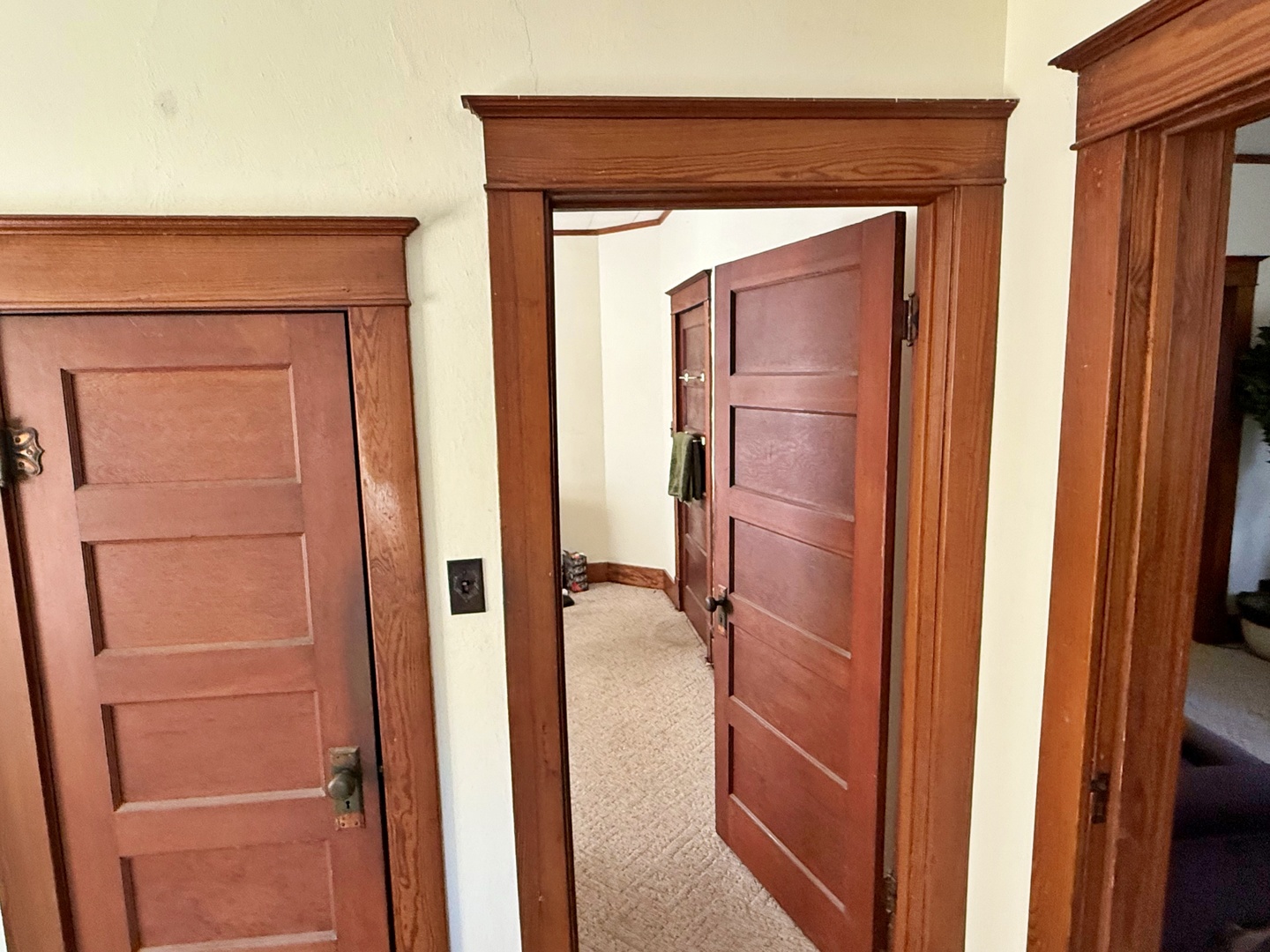 2919 Feather Trail Road Olmsted, IL 62970 - Photo 11 of 37