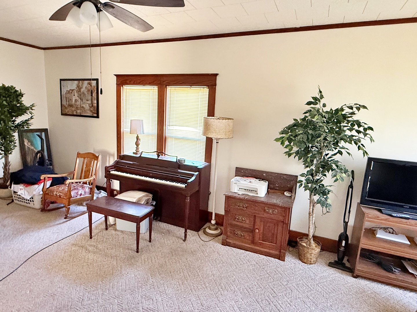 2919 Feather Trail Road Olmsted, IL 62970 - Photo 16 of 37