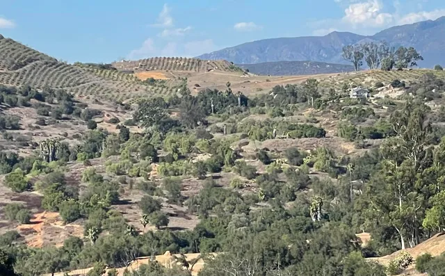 a view of a large building with mountains in the background