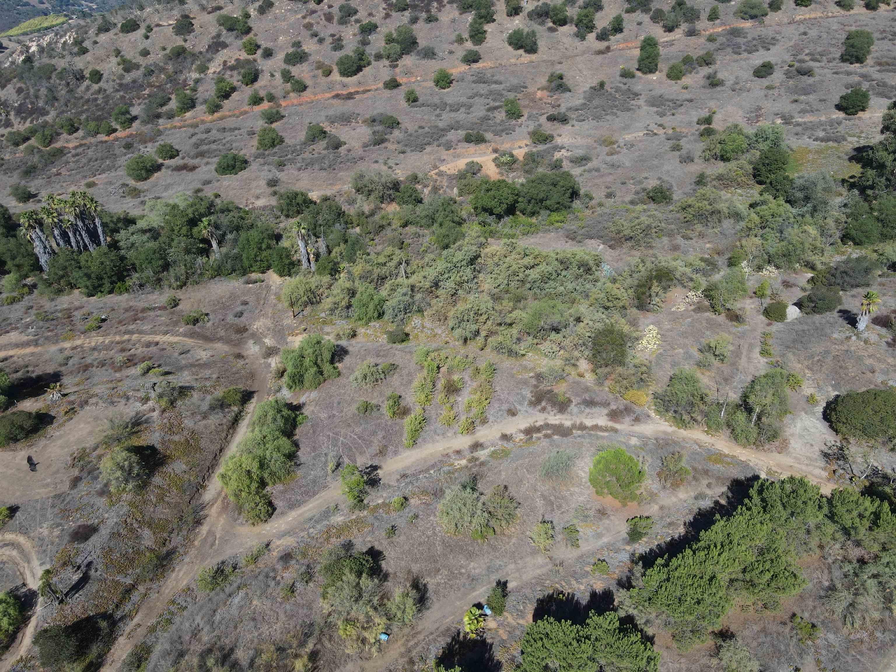 77 Jeffrey Heights Road Valley Center, CA 92082 - Photo 9 of 15 a view of a dry field with lots of bushes