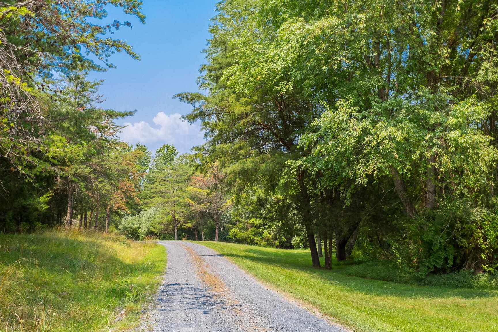 693 Stover Shop Road Churchville, VA 24421 - Photo 41 of 42 a view of a yard with a trees