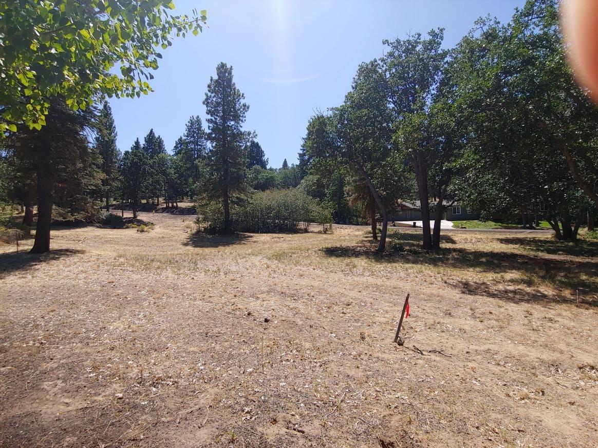 920 Redstart Road Klamath Falls, OR 97601 - Photo 3 of 4 Photo taken from rear lot line, looking