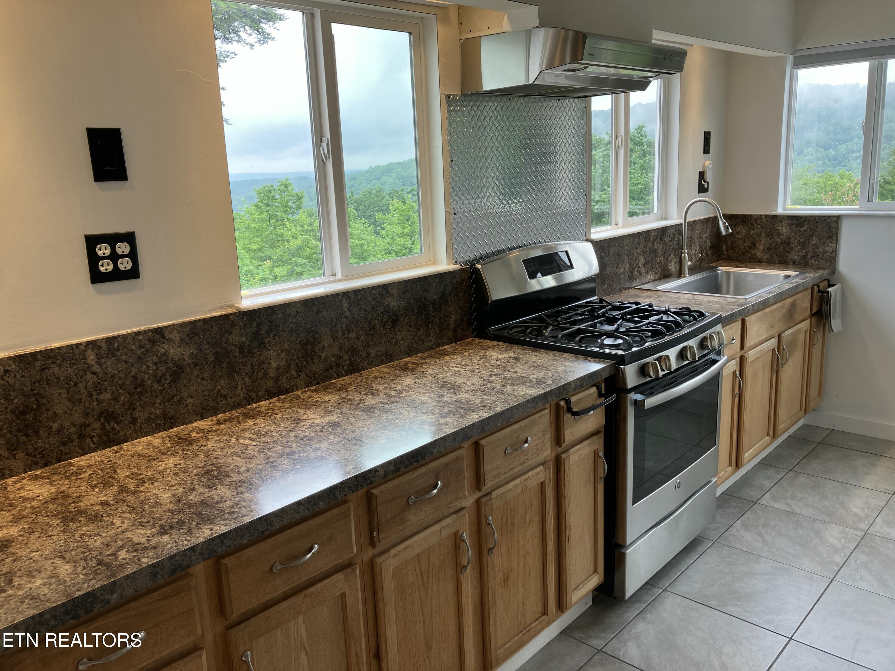 1407 Holloway Ridge Road Spring City, TN 37381 - Photo 48 of 60 1000020645