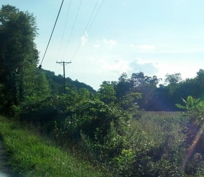 Tater Valley Road Washburn, TN 37888 - Photo 1 of 1 tater valley