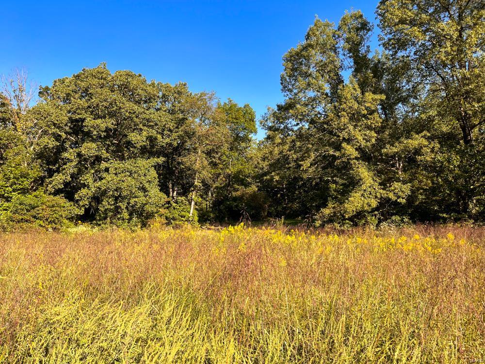 8780 Heinz Road New Douglas, IL 62074 - Photo 54 of 63