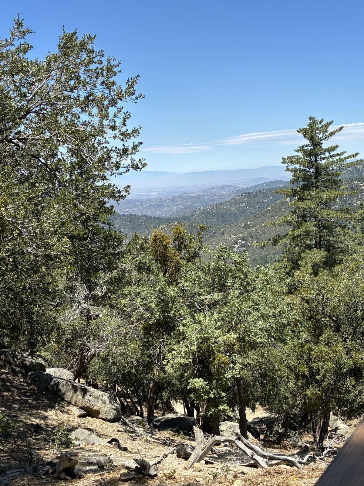 24930 Pine Cove Road Idyllwild, CA 92549 - Photo 8 of 25 Untitled