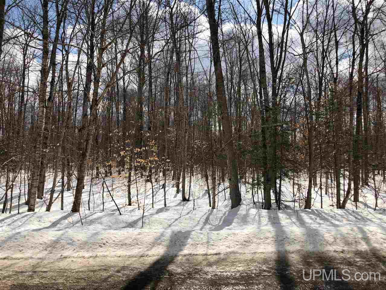 Tbd Quarry Road Gulliver, MI 49854 - Photo 2 of 4