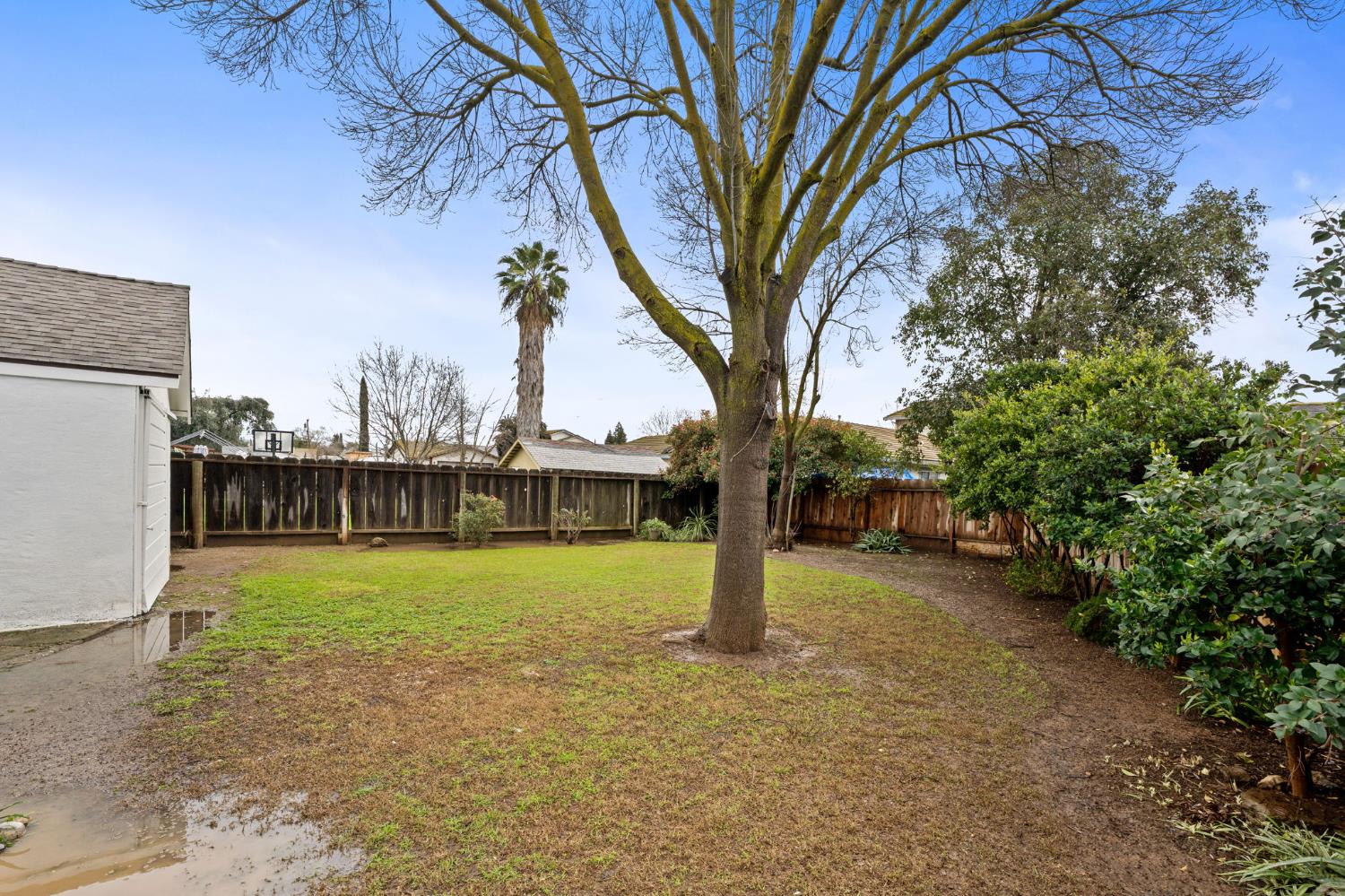 1366 East Alexander Avenue Merced, CA 95340 - Photo 30 of 30 a view of a yard in front of a house with large trees