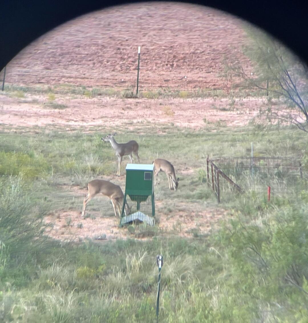 354 Co Road Winters, TX 79567 - Photo 10 of 23 Screenshot_20260605_081509_Gallery