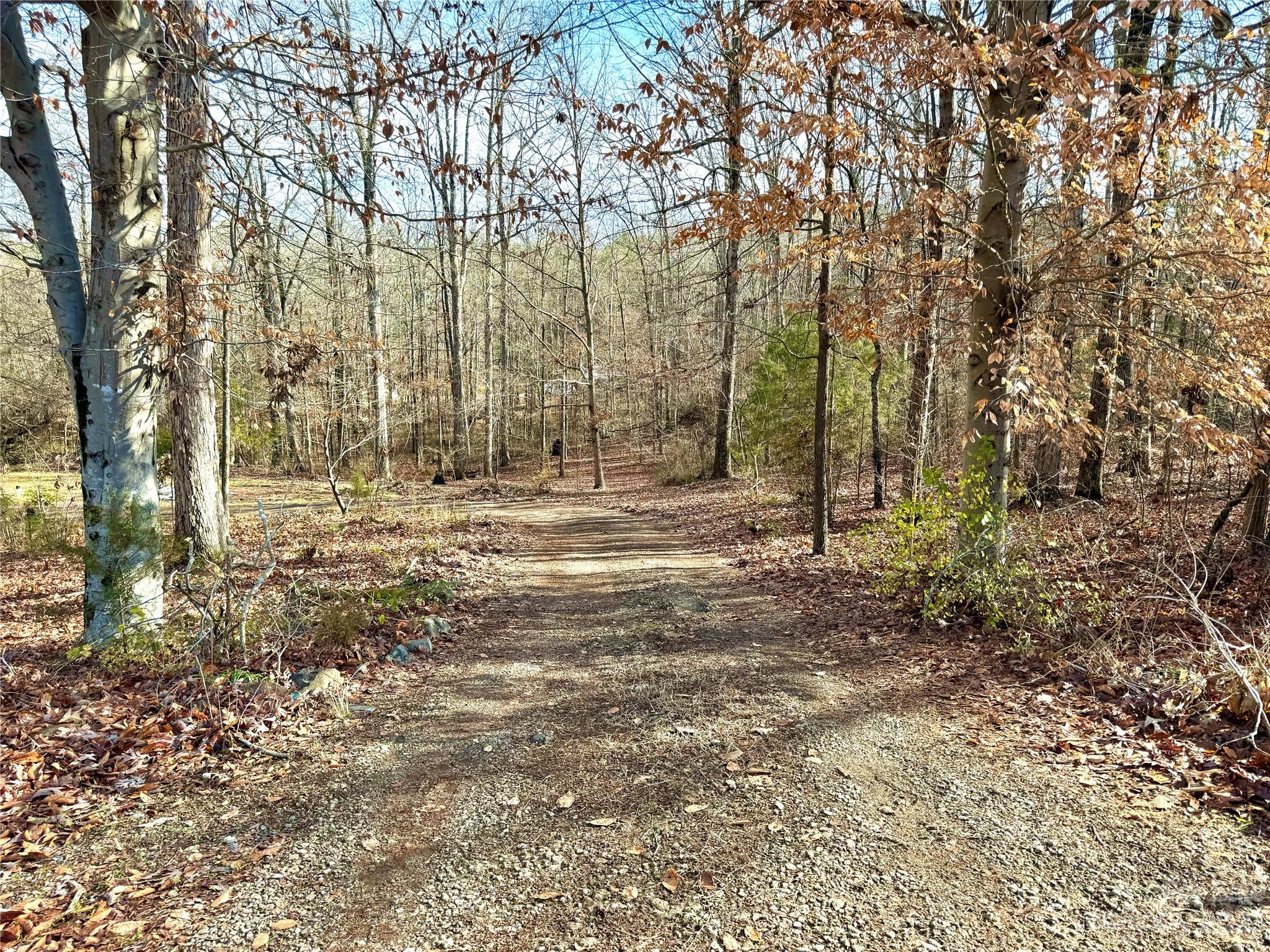 285 Arrowood Road Salisbury, NC 28144 - Photo 11 of 15 a view of outdoor space with trees