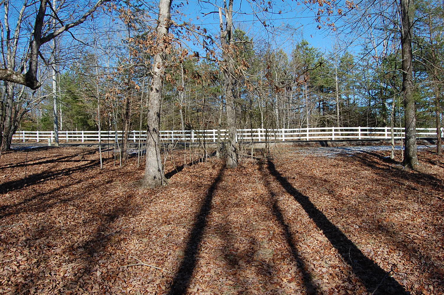 340 Bluff View Drive Dunlap, TN 37327 - Photo 11 of 36 DSC_0009