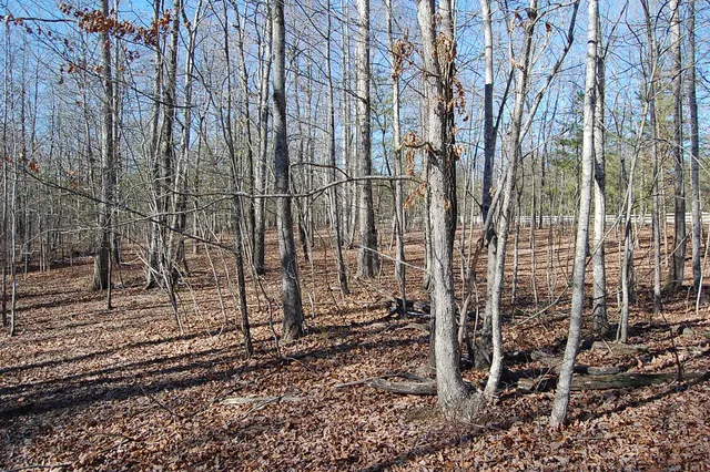 $69,900 | 340 Bluff View Drive, Dunlap, TN 37327