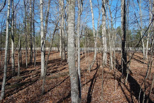 $69,900 | 340 Bluff View Drive, Dunlap, TN 37327