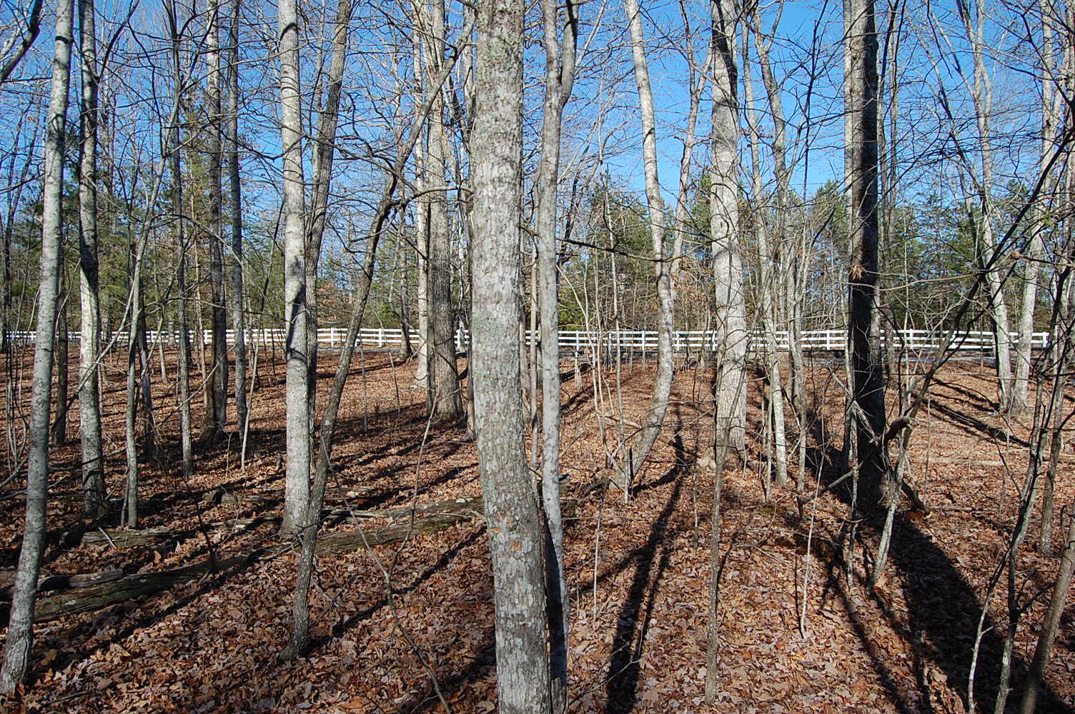 340 Bluff View Drive Dunlap, TN 37327 - Photo 13 of 36 DSC_0013