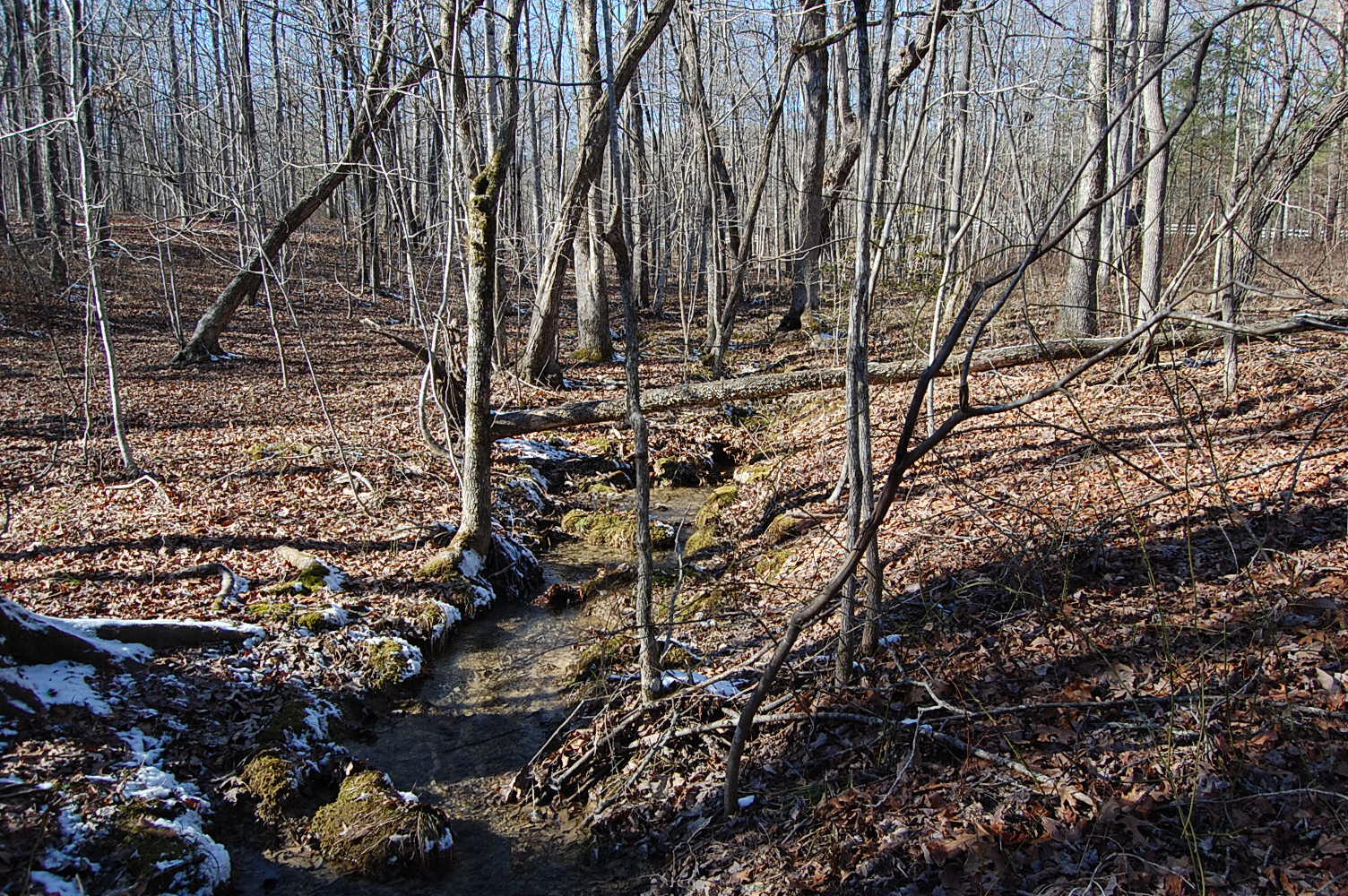 340 Bluff View Drive Dunlap, TN 37327 - Photo 14 of 36 DSC_0014