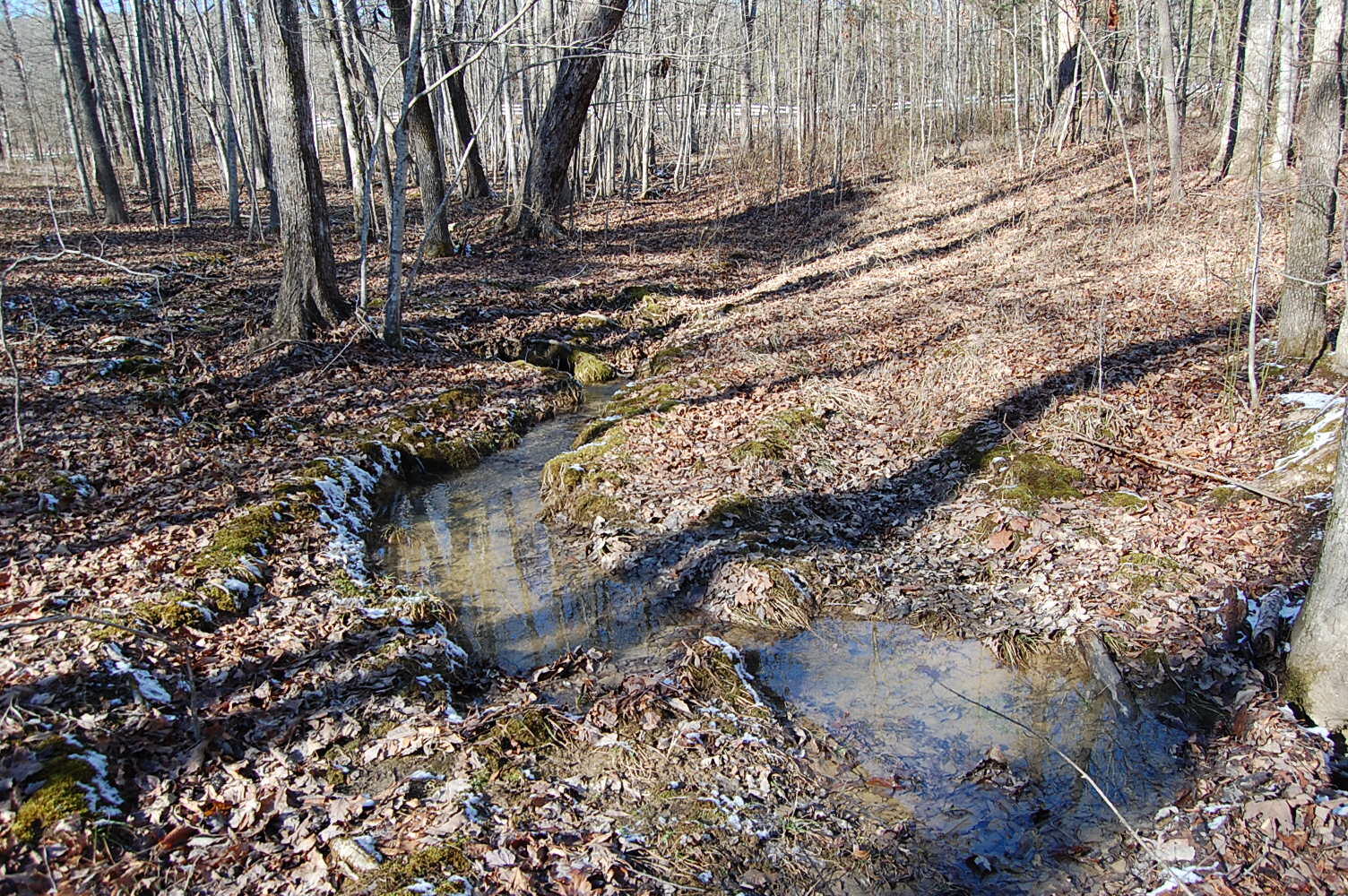 340 Bluff View Drive Dunlap, TN 37327 - Photo 15 of 36 DSC_0015