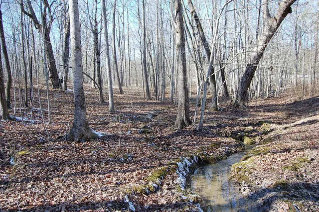 $69,900 | 340 Bluff View Drive, Dunlap, TN 37327