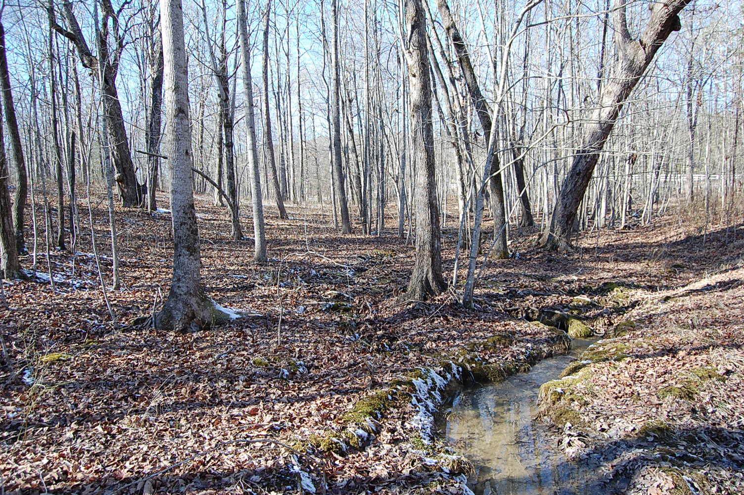 340 Bluff View Drive Dunlap, TN 37327 - Photo 16 of 36 DSC_0016