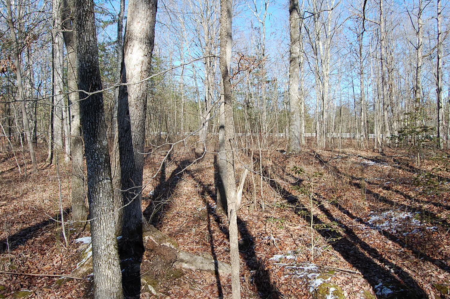 340 Bluff View Drive Dunlap, TN 37327 - Photo 18 of 36 DSC_0018