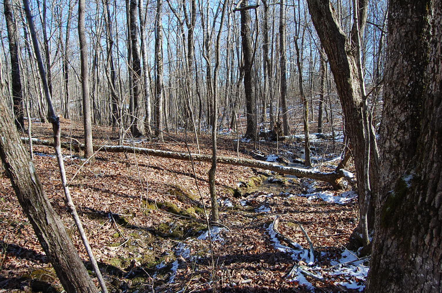 340 Bluff View Drive Dunlap, TN 37327 - Photo 19 of 36 DSC_0019