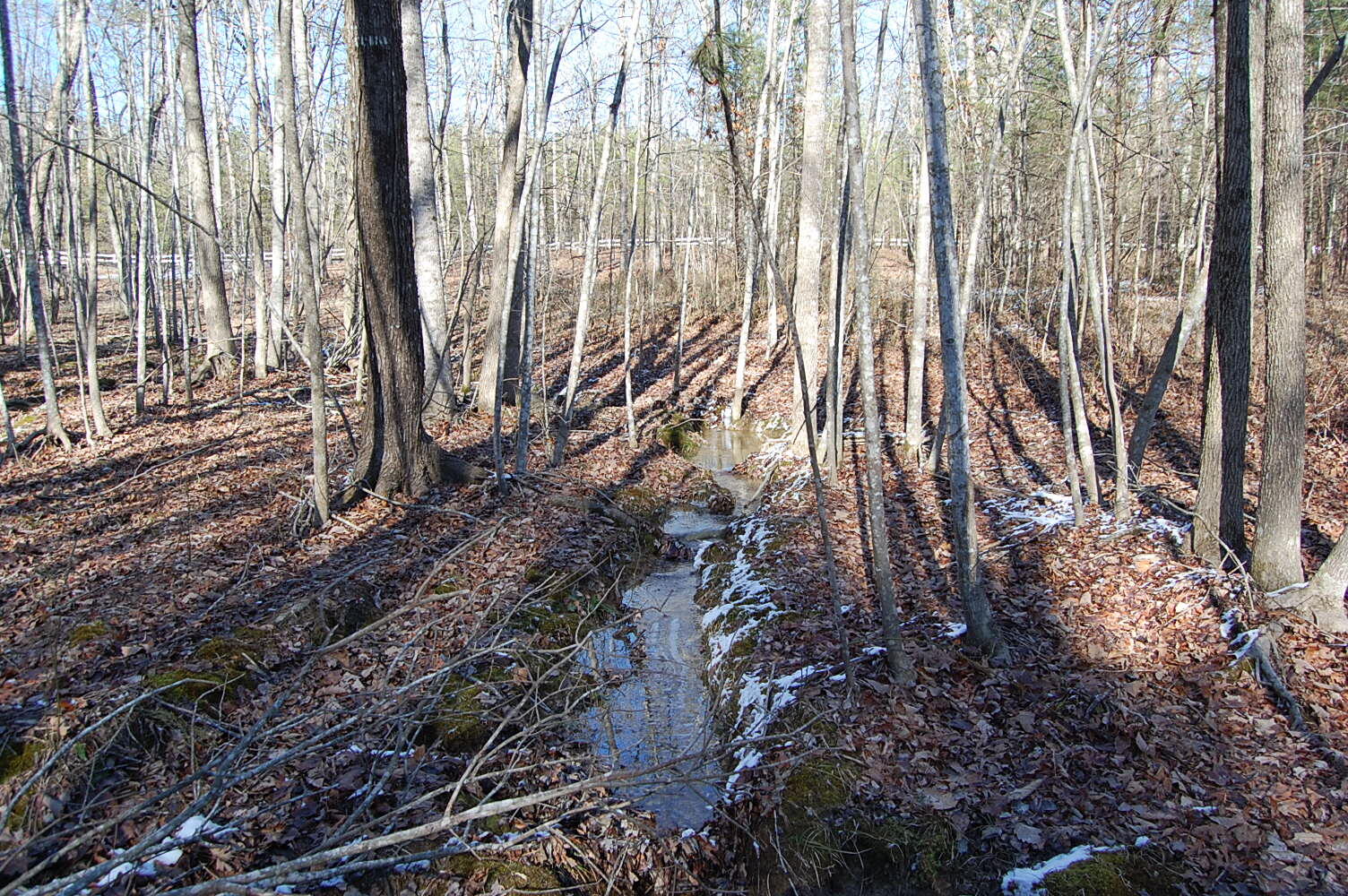 340 Bluff View Drive Dunlap, TN 37327 - Photo 20 of 36 DSC_0020