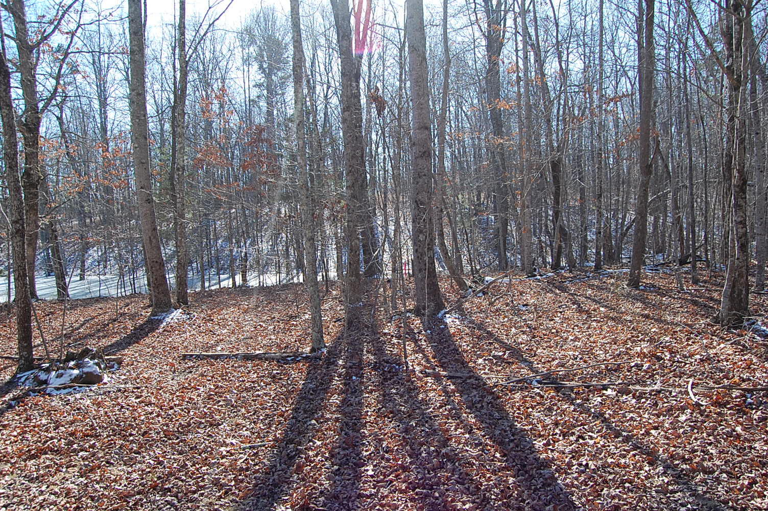 340 Bluff View Drive Dunlap, TN 37327 - Photo 2 of 36 DSC_0005