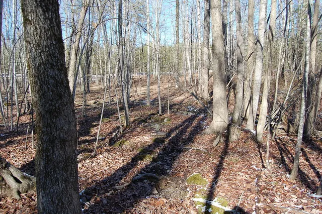 $69,900 | 340 Bluff View Drive, Dunlap, TN 37327