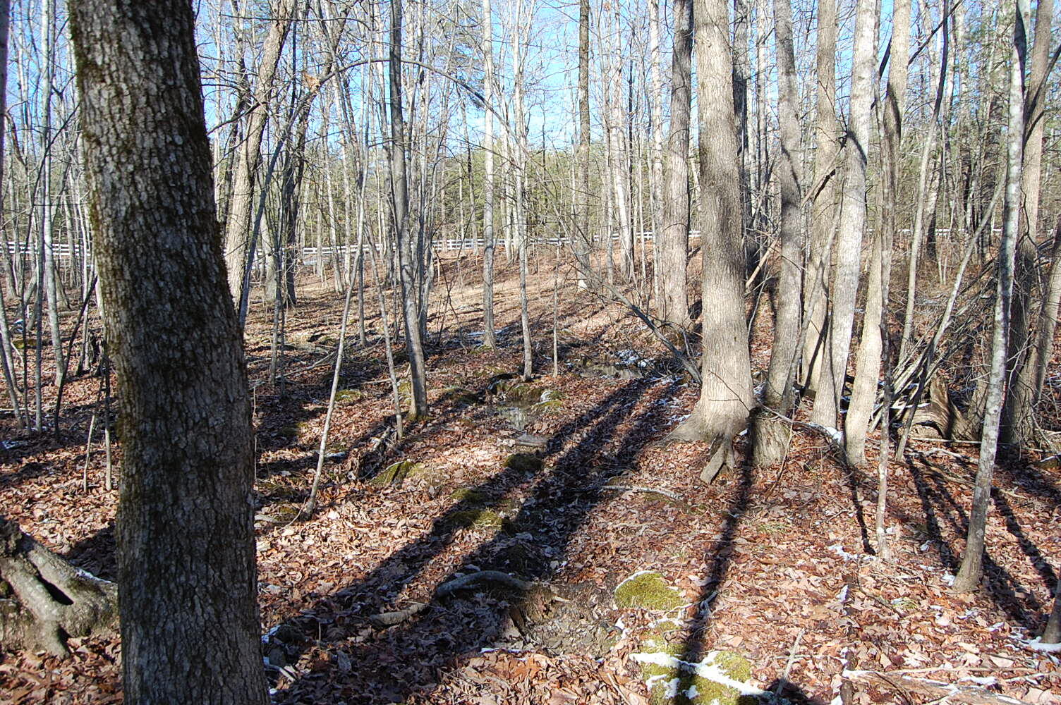 340 Bluff View Drive Dunlap, TN 37327 - Photo 22 of 36 DSC_0022