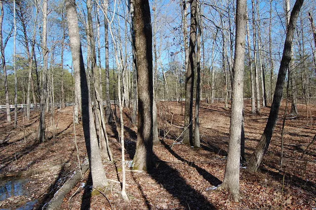 $69,900 | 340 Bluff View Drive, Dunlap, TN 37327