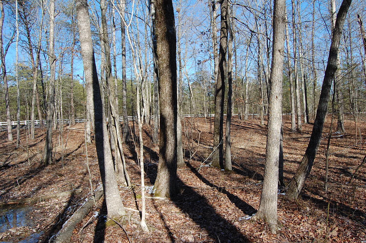 340 Bluff View Drive Dunlap, TN 37327 - Photo 23 of 36 DSC_0023