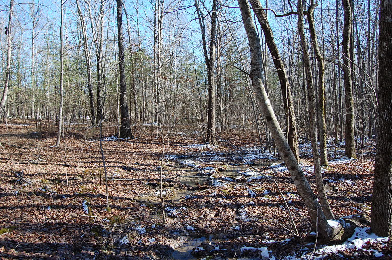 340 Bluff View Drive Dunlap, TN 37327 - Photo 25 of 36 DSC_0025