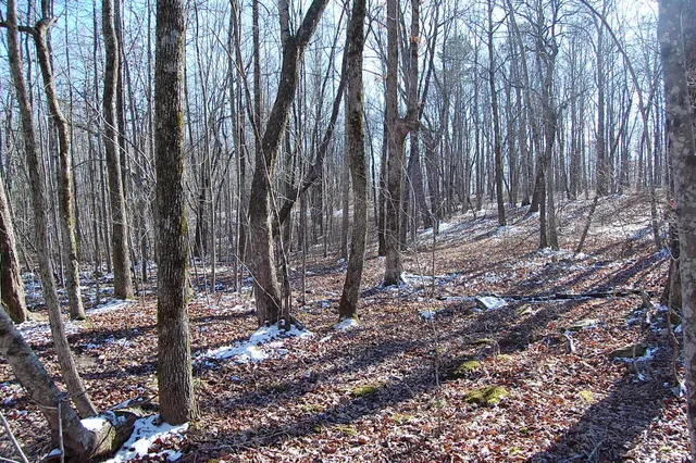 $69,900 | 340 Bluff View Drive, Dunlap, TN 37327