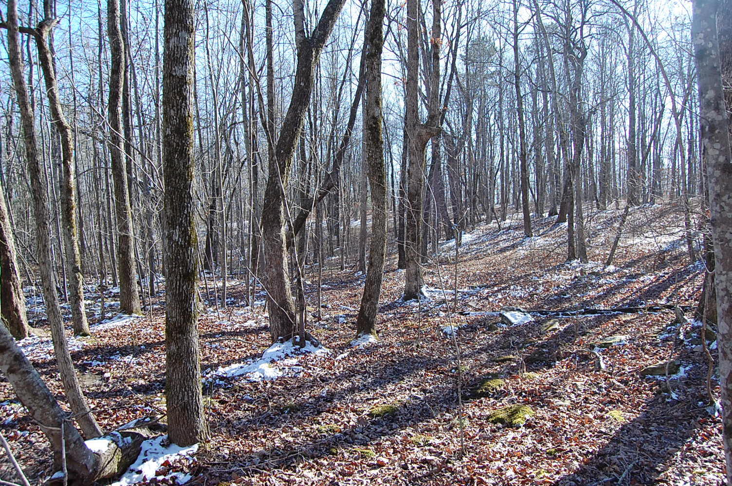 340 Bluff View Drive Dunlap, TN 37327 - Photo 26 of 36 DSC_0026