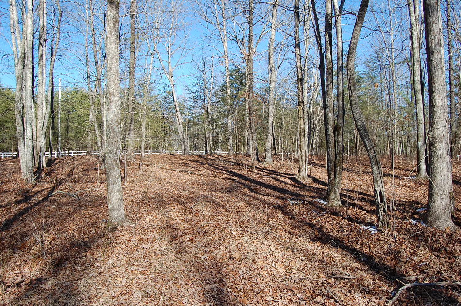 340 Bluff View Drive Dunlap, TN 37327 - Photo 27 of 36 DSC_0027