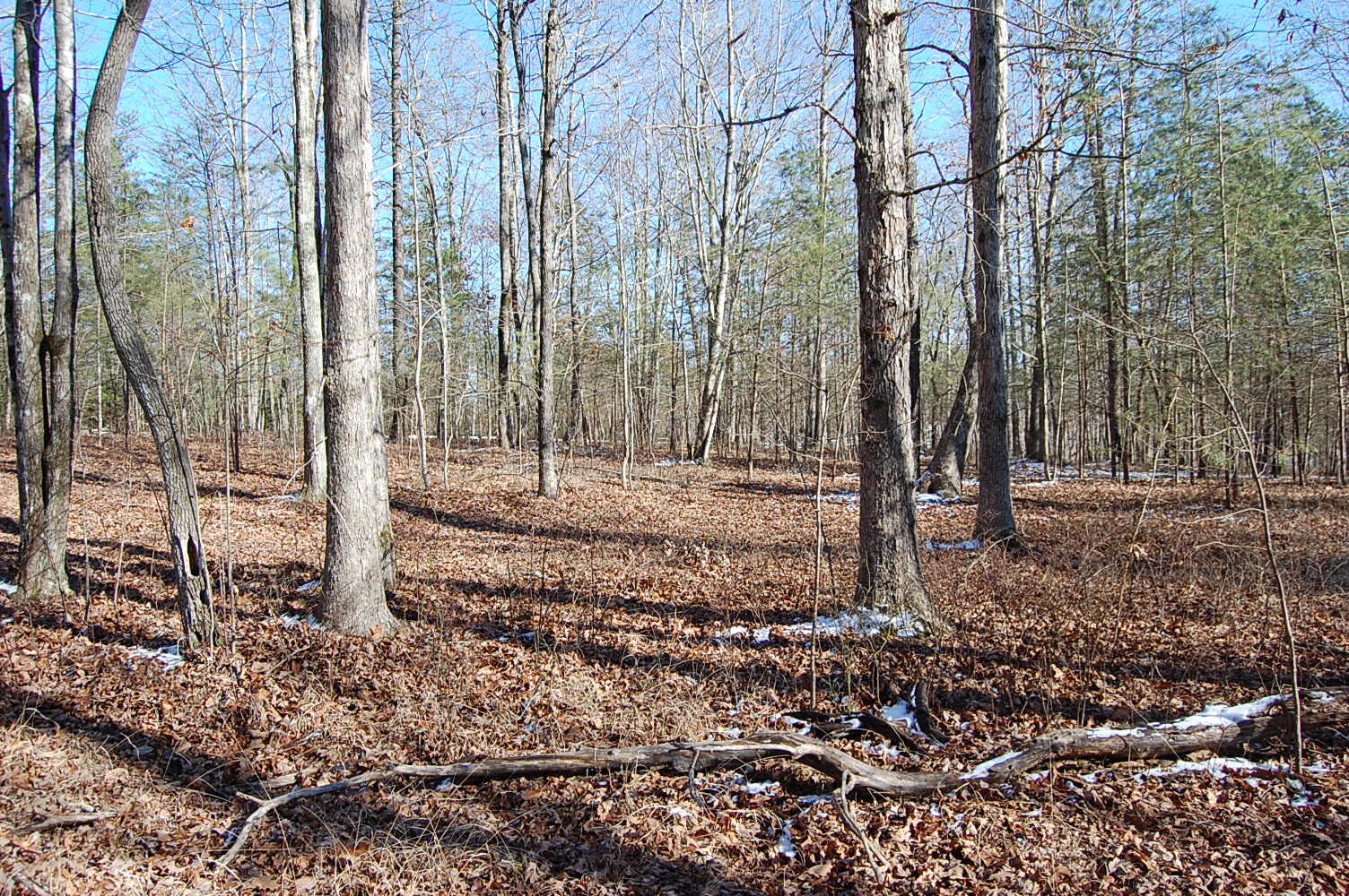 340 Bluff View Drive Dunlap, TN 37327 - Photo 28 of 36 DSC_0028