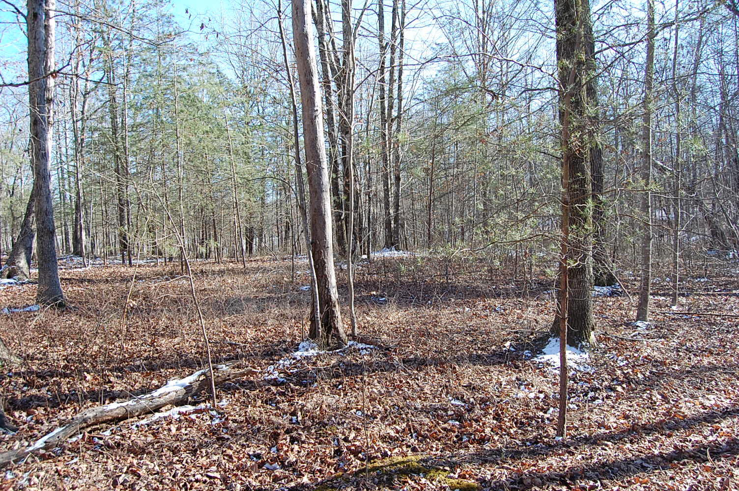 340 Bluff View Drive Dunlap, TN 37327 - Photo 29 of 36 DSC_0029