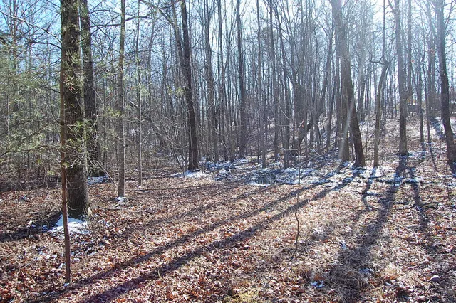 $69,900 | 340 Bluff View Drive, Dunlap, TN 37327