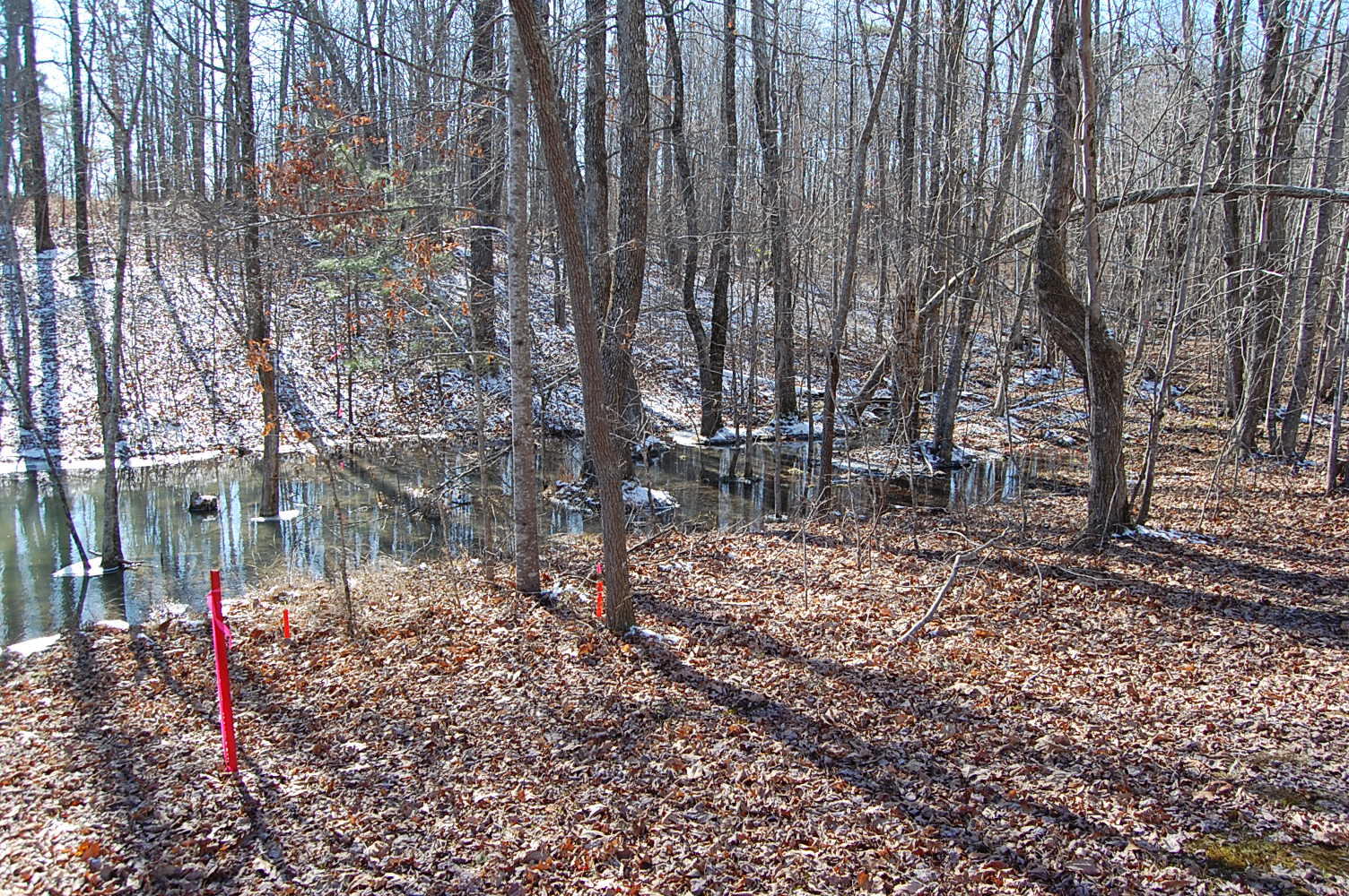 340 Bluff View Drive Dunlap, TN 37327 - Photo 3 of 36 DSC_0010