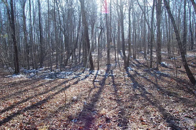 $69,900 | 340 Bluff View Drive, Dunlap, TN 37327