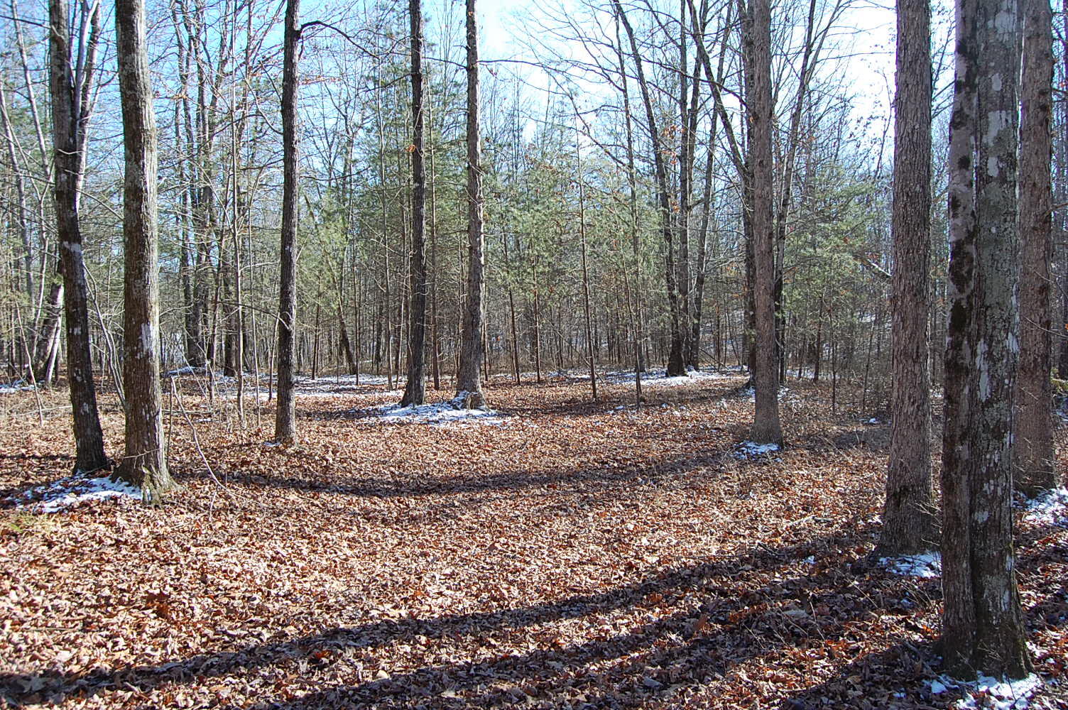 340 Bluff View Drive Dunlap, TN 37327 - Photo 32 of 36 DSC_0032