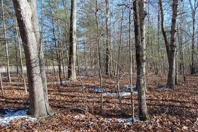 $69,900 | 340 Bluff View Drive, Dunlap, TN 37327