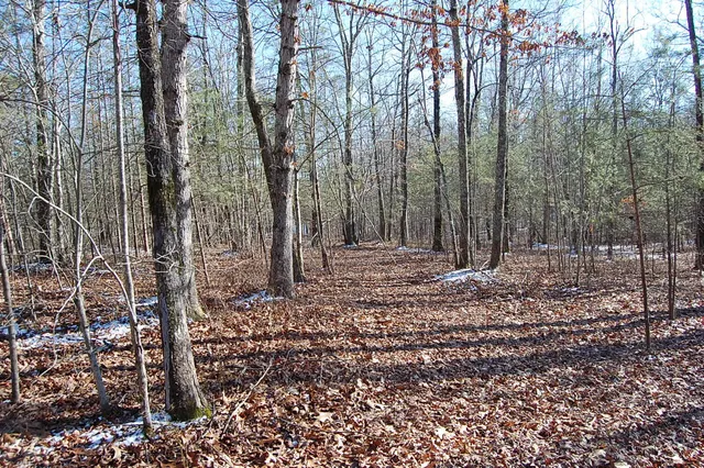 $69,900 | 340 Bluff View Drive, Dunlap, TN 37327