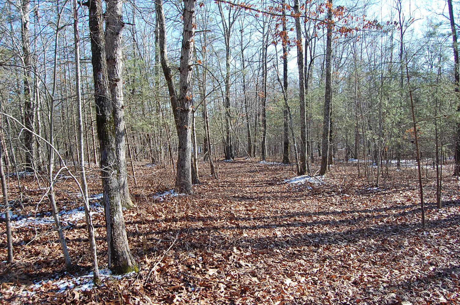 340 Bluff View Drive Dunlap, TN 37327 - Photo 34 of 36 DSC_0034