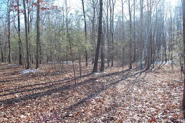 $69,900 | 340 Bluff View Drive, Dunlap, TN 37327