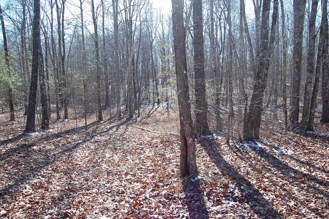 $69,900 | 340 Bluff View Drive, Dunlap, TN 37327