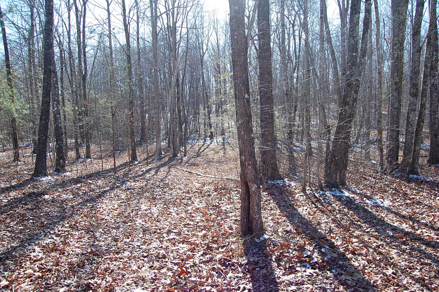 340 Bluff View Drive Dunlap, TN 37327 - Photo 36 of 36 DSC_0036