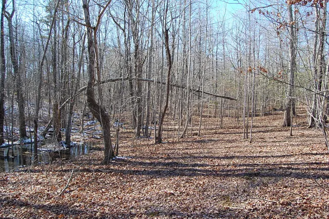 $69,900 | 340 Bluff View Drive, Dunlap, TN 37327