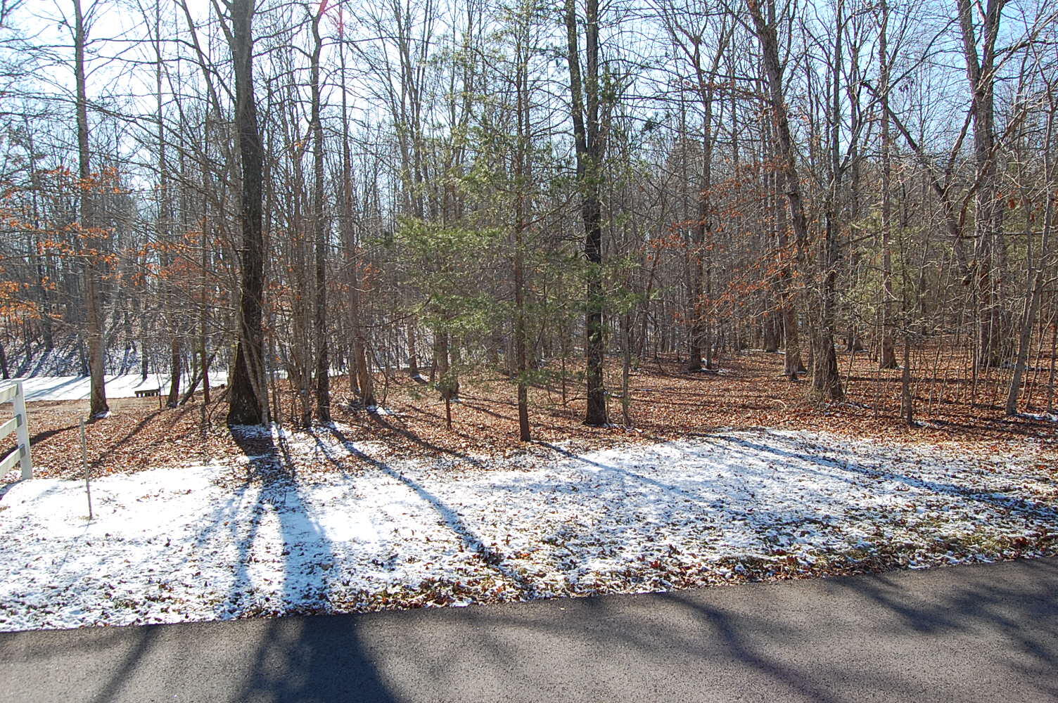 340 Bluff View Drive Dunlap, TN 37327 - Photo 5 of 36 DSC_0001