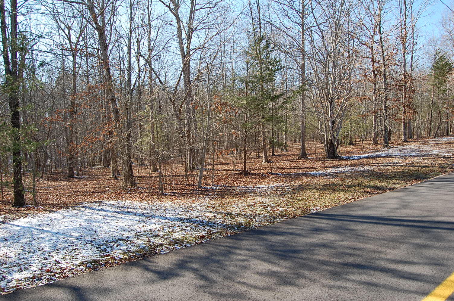 340 Bluff View Drive Dunlap, TN 37327 - Photo 6 of 36 DSC_0002