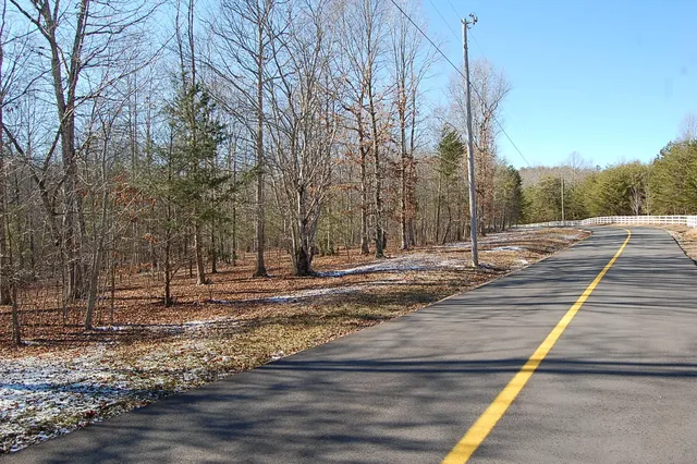 $69,900 | 340 Bluff View Drive, Dunlap, TN 37327